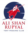 AliShan Tentpegging
